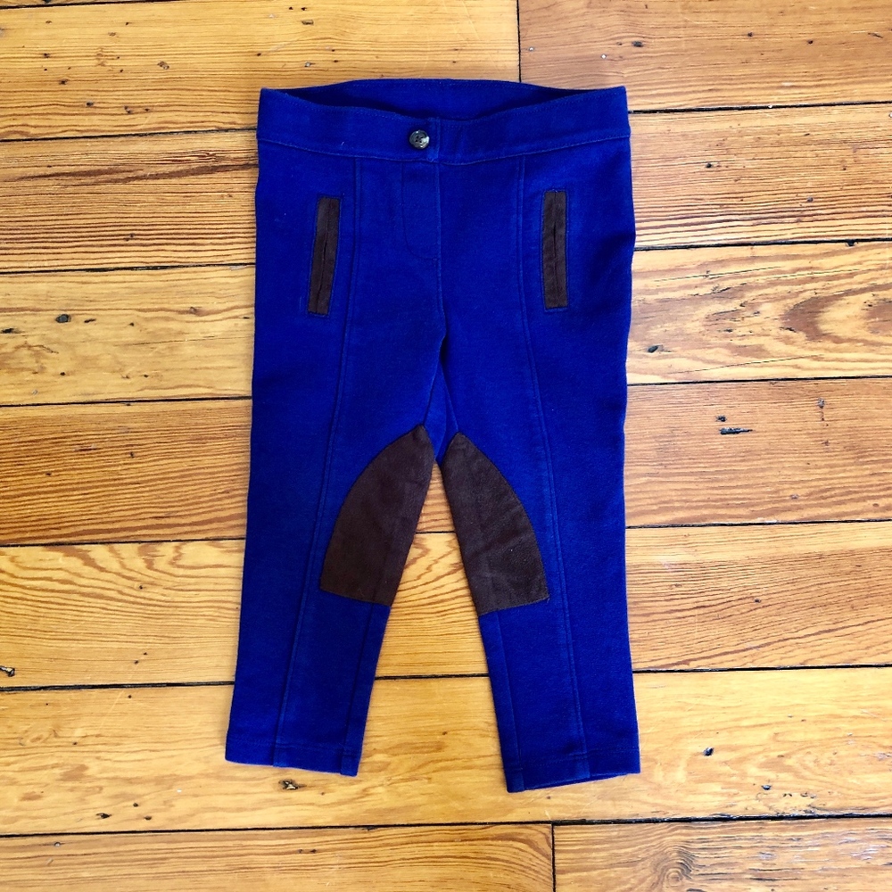 Janie + Jack Purple Riding pants
